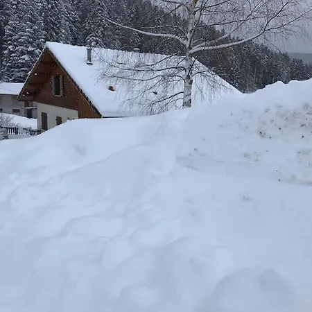 Le Grizzli-3 Chambres- 8 Couchages- Vue Imprenable Le Tholy