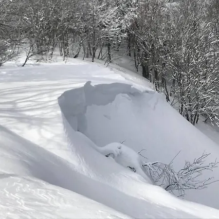 Le Grizzli-3 Chambres- 8 Couchages- Vue Imprenable *