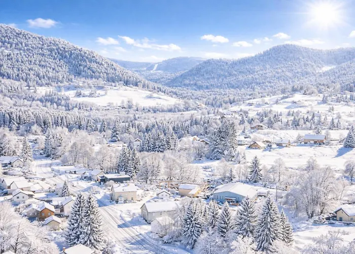 Le Grizzli-3 Chambres- 8 Couchages- Vue Imprenable Le Tholy